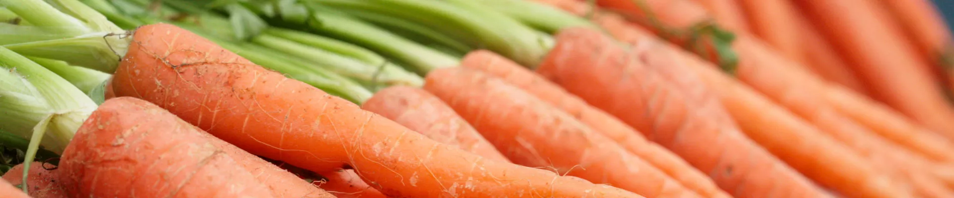 Grow it yourself: Carrots