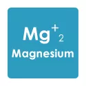 Interactions between nutrients