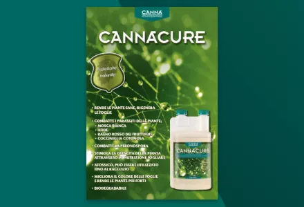 CANNACURE opuscolo